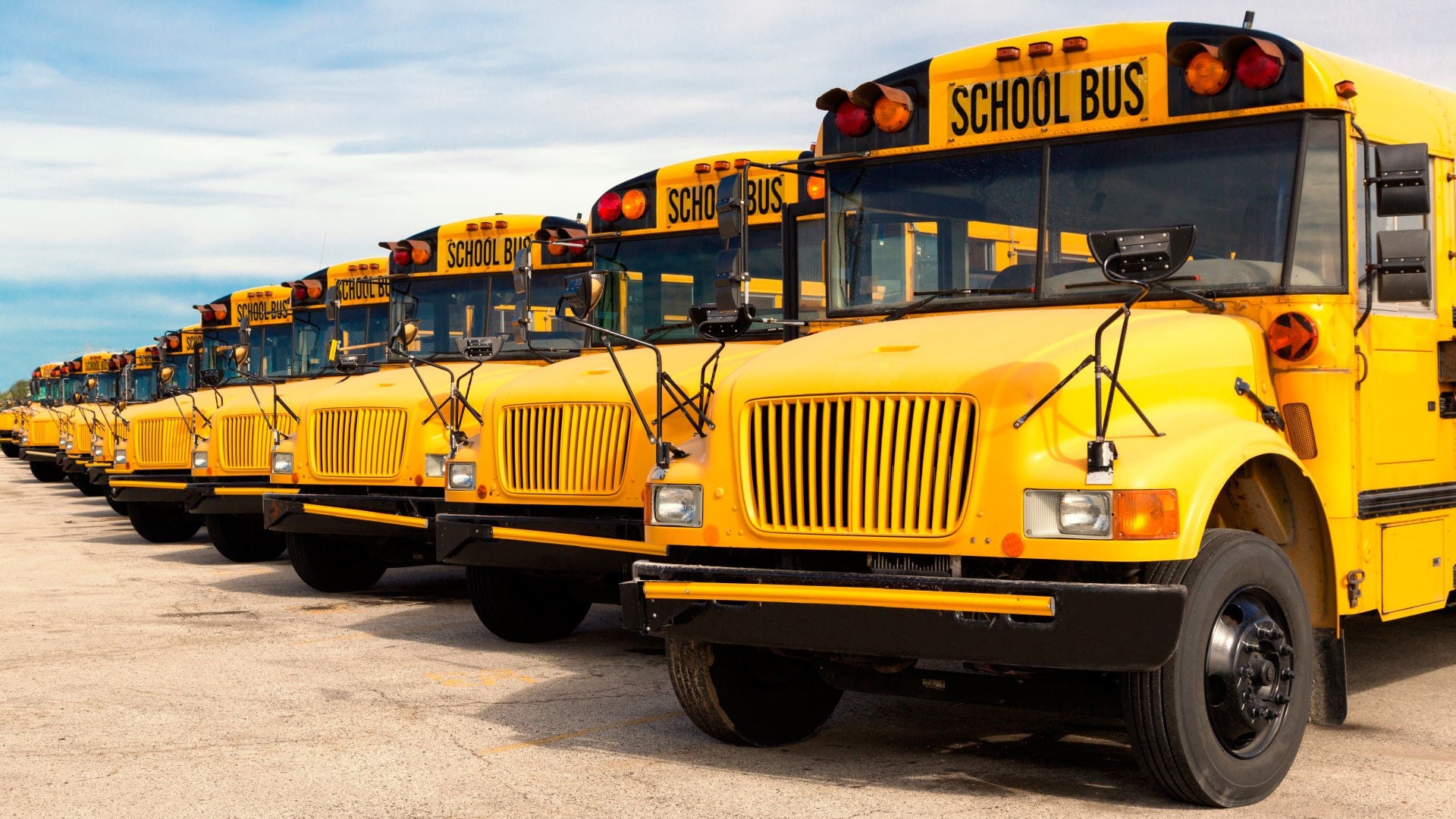 Lineup of school buses in parking lot